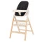 Стілець для годування CARRELLO Ergo CRL-16701 obsidian black /1/ MOQ